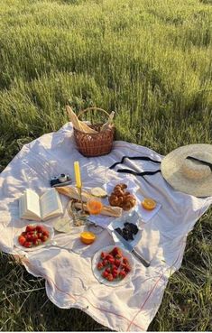 a picnic blanket with food on it in the middle of a field