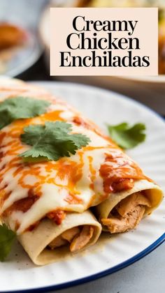 The ultimate easy chicken enchilada recipe for dinner enchiladas that are both simple and scrumptious.