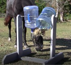 a horse is eating hay from a water bottle holder