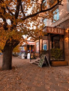 a tree with leaves on the ground in front of a building that has an awning