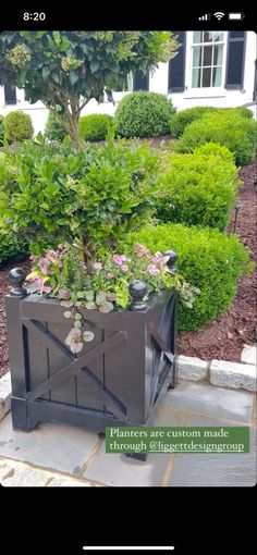 an outdoor planter with plants in it