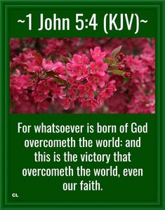 pink flowers with the words john 5 4 kjv