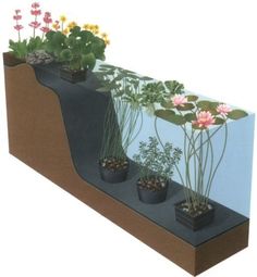 an image of plants growing out of the ground with water lilies and other flowers