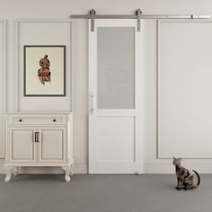 a cat sitting on the floor in front of a white cabinet and door with glass panels