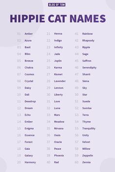 the top ten hippie cat names in purple and white, with blue circles around them