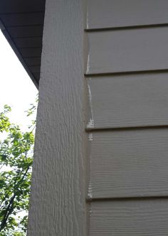 a white cat sitting on the side of a house