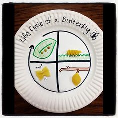 a paper plate with the words life cycle of a butterfly on it