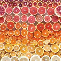 an array of oranges and grapefruits arranged in rows