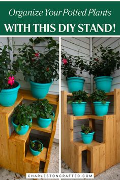 some plants are growing in blue pots on wooden steps with text overlay that reads organize your potted plants with this diy stand