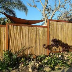 a wooden fence with plants and rocks in the foreground, next to a tree