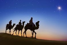 three people riding camels in the desert at night