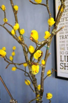 a small tree with yellow flowers in front of a blue wall and framed pictures on the wall