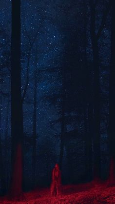 a person standing in the middle of a forest at night with red light shining on them