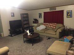 a living room filled with furniture and a cat sitting on top of a coffee table