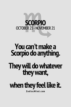 a quote that reads you can't make a scorpio do anything they will do whatever they want when they feel like it