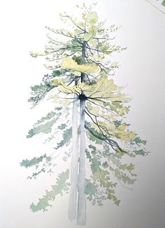 a watercolor painting of a tall tree with green leaves