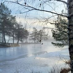 the water is frozen and there are trees in the foreground with snow on the ground