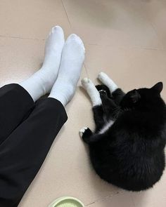 a black and white cat laying on the floor next to a person's legs