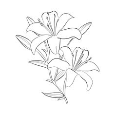 a black and white drawing of flowers