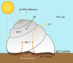 an image of a hot air balloon on the ground with sun and clouds above it