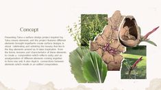 a brochure with images of flowers and plants