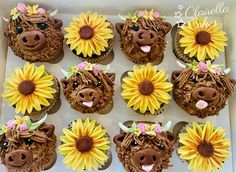 twelve cupcakes decorated like cows and sunflowers are arranged in a box