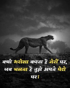 a cheetah walking on top of a hill with the caption in english