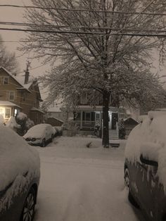 cars are covered in snow on a residential street