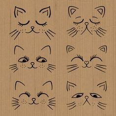 six cat faces drawn in black ink on brown paper