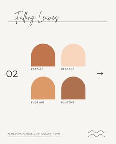 an info sheet showing the different shades of makeup