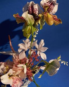 an arrangement of flowers in a vase on a blue background