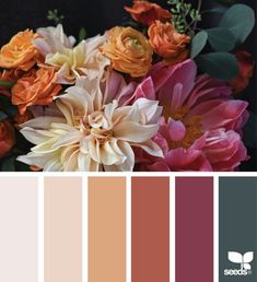 a bunch of flowers that are in some color swatches with the words shades of pink, orange and yellow