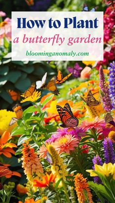 How to Easily Plant a Butterfly Garden Tropical Flowers, Flower Beds, Container Gardening