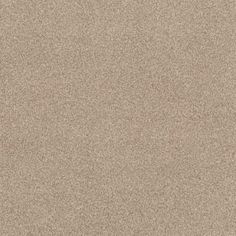 an image of a beige carpet textured with sand