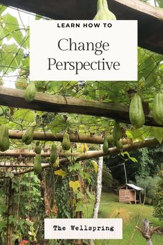 the words learn how to change perspective in front of an image of some fruit hanging from a tree