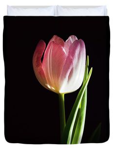 a pink and white tulip on a black background duvet cover