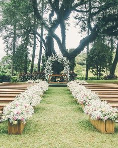 an instagram photo with flowers on the grass