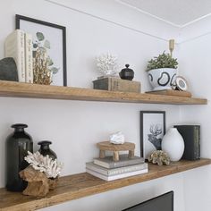 some shelves with pictures and plants on them