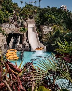 a water slide in the middle of a pool surrounded by palm trees and other greenery