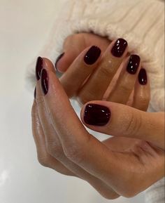 Fall inspo, fall nails, autumn vibes, red season, cherry red nails, dark red, clean girl aesthetic, manicure inspo, short square nails Maroon Nails On Brown Skin, Short Sqovalnails, Wine Pedicure, Burgundy Dip Nails, Short Round Nails Fall, Fall Natural Nails Short, Short Gel Extension Nails, September Toe Nails Color, Square Oval Nails Short