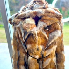 Beautiful, Natural And Silver Hued Button Up Fox Jacket. There Are 4 Interior Hooks For Closing As Well As 2 Large Exterior Buttons. A Corded Tie With A Metal Embellishment Also Adds To The Stylishness Of This Jacket. One Owner. Fox Jacket, Fur Hooded Coat, Off Grid Survival, Fur Hood Coat, Hooded Coat, Gold Jewelry Fashion, Fox Fur, Gold Jewelry, Button Up