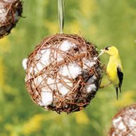 three bird feeders hanging from strings in front of some grass and yellow wildflowers