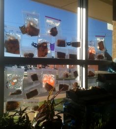 the window is covered in plastic bags with food hanging from it's windowsill