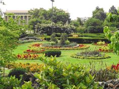 the garden is full of flowers and trees