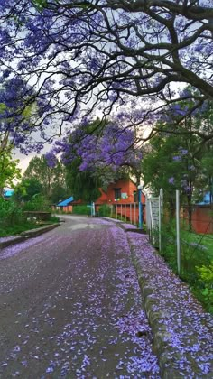 the road is lined with purple flowers and trees