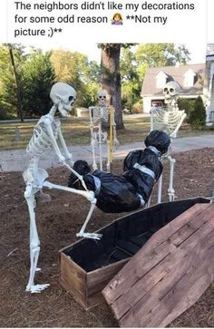 two skeletons are outside in the grass with one skeleton laying down and another skeleton standing up