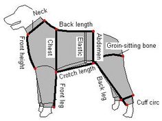 an image of a dog's coat with the names in english and german words