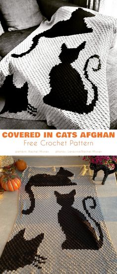 a cat rug is shown on the floor and in front of a couch with pumpkins