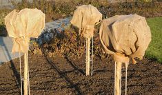 three wooden sticks are wrapped in burlock and tied with twine on them