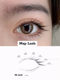 Lower Eyelash Extensions, Eye Lash Extensions Styles, Bentuk Alis, Lashes Fake Eyelashes, Eyelashes Extensions, Perfect Eyelashes, Korean Eye Makeup